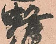 Đã định vị 蜂