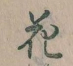 位置 確認된 花