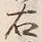 Character 右
