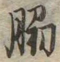 位置定マレル脇