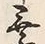 字組