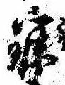 已定位寐