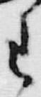 「お」字