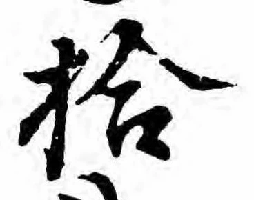 已定位拾