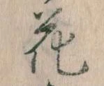 位置 確認된 花