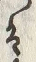 Character 夫