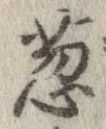 Đã định vị 葱