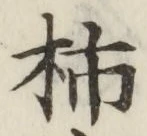 “柿”字