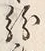 字紛