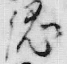文字相