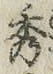 字秀