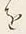 Chữ を