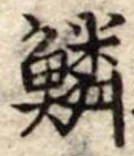位置 確認된 鱗