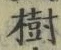 「樹」字
