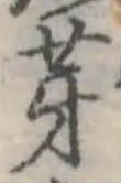 位置 確認된 芽