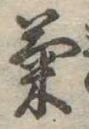 已定位菊
