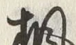 𡨸楓