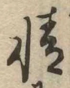 情の位置
