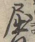 已定位屈