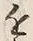 Character 近