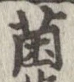已定位菌