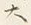 𡨸大