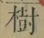 「樹」字