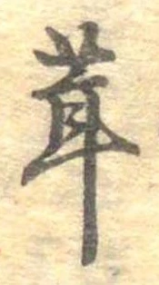位置定マレル茸