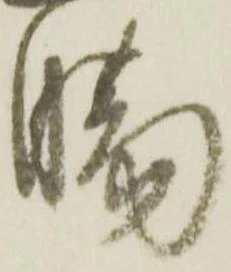 已定位膓
