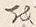 𡨸か