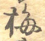 已定位梅