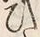 “ひ”字