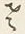 字さ