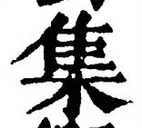 「集」字
