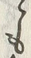 𡨸心