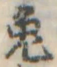 已定位兎