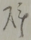 位置定マレル科