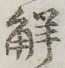 已定位解