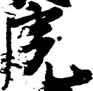 虎の位置
