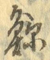 已定位鯨