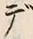 𡨸デ