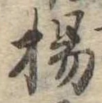 已定位楊