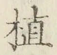字植