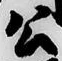 「公」字