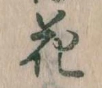位置 確認된 花