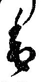 已定位香