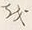 “ら”字