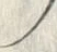 Character 散