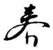 位置 確認된 春