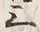 Character 屋
